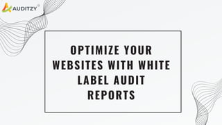 OPTIMIZE YOUR
WEBSITES WITH WHITE
LABEL AUDIT
REPORTS
 