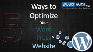 Optimize WordPress Website - Spiders Watch Technologies