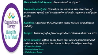 Musculoskeletal System: Biomechanical Aspect
Kinematic analysis: Describes the amount and direction of
movement, speed, and acceleration of body segments and joint
angles
Kinetics: Addresses the forces the cause motion or maintain
stability
Torque: Tendency of a force to produce rotation about an axis
Lever systems: Effort is the force that causes movement and
resistance is the force that tends to keep the object moving
- First-class lever
- Second-class lever
- Third-class lever
 