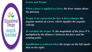 Levers and Torque
- When a force is applied to a lever, the lever rotates about
the fulcrum.
- Torque is an expression for how a force changes the
angular motion of a lever, which signifies the angular
velocity.
- To calculate the torque M, the magnitude of the force F is
multiplied by the distance l between the force and the
rotating point.
- Equilibrium is achieved when the torque on the left equals
that on the right:
 