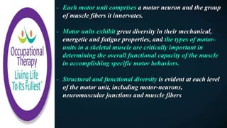 - Each motor unit comprises a motor neuron and the group
of muscle fibers it innervates.
- Motor units exhibit great diversity in their mechanical,
energetic and fatigue properties, and the types of motor-
units in a skeletal muscle are critically important in
determining the overall functional capacity of the muscle
in accomplishing specific motor behaviors.
- Structural and functional diversity is evident at each level
of the motor unit, including motor-neurons,
neuromuscular junctions and muscle fibers
 