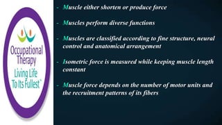 - Muscle either shorten or produce force
- Muscles perform diverse functions
- Muscles are classified according to fine structure, neural
control and anatomical arrangement
- Isometric force is measured while keeping muscle length
constant
- Muscle force depends on the number of motor units and
the recruitment patterns of its fibers
 