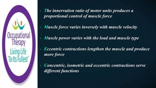 - The innervation ratio of motor units produces a
proportional control of muscle force
- Muscle force varies inversely with muscle velocity
- Muscle power varies with the load and muscle type
- Eccentric contractions lengthen the muscle and produce
more force
- Concentric, isometric and eccentric contractions serve
different functions
 