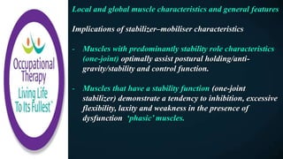 Local and global muscle characteristics and general features
Implications of stabilizer–mobiliser characteristics
- Muscles with predominantly stability role characteristics
(one-joint) optimally assist postural holding/anti-
gravity/stability and control function.
- Muscles that have a stability function (one-joint
stabilizer) demonstrate a tendency to inhibition, excessive
flexibility, laxity and weakness in the presence of
dysfunction ‘phasic’ muscles.
 