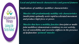 Local and global muscle characteristics and general features
Implications of stabilizer–mobiliser characteristics
- Muscles with predominantly mobility role characteristics
(multi-joint) optimally assist rapid/accelerated movement
and produce high force or power.
- Muscles that have a mobility function (two-joint or multi-
joint mobiliser) demonstrate a tendency to over activity,
loss of extensibility and excessive stiffness in the presence
of dysfunction ‘postural’ muscles
 