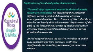 Implications of local and global characteristics
- The small deep segmental muscles in the local muscle
system are responsible for increasing the segmental
stiffness across a joint and decreasing excessive
intersegmental motion. The relevance of this is that these
muscles are ideally situated to control displacement of the
path of the instantaneous center of motion and reduce
excessive intersegmental translatatory motion during
functional movements.
- At end range of motion the passive restraints of motion
(e.g. ligaments and joint capsules) contribute
significantly to controlling translatatory or accessory
motion.
 