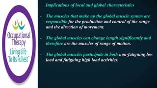 Implications of local and global characteristics
- The muscles that make up the global muscle system are
responsible for the production and control of the range
and the direction of movement.
- The global muscles can change length significantly and
therefore are the muscles of range of motion.
- The global muscles participate in both non-fatiguing low
load and fatiguing high load activities.
 