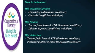 Muscle imbalance
Hip extension (prone)
- Hamstrings (dominant mobilizer)
- Gluteals (inefficient stabilizer)
Hip flexion
- Tensor facia latea & ITB (dominant mobilizer)
- Illiacus & psoas (inefficient stabilizer)
Hip abduction
- Tensor facia latea & ITB (dominant mobilizer)
- Posterior gluteus medius (inefficient stabilizer)
 