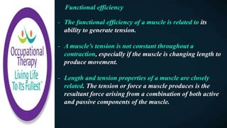 Functional efficiency
- The functional efficiency of a muscle is related to its
ability to generate tension.
- A muscle’s tension is not constant throughout a
contraction, especially if the muscle is changing length to
produce movement.
- Length and tension properties of a muscle are closely
related. The tension or force a muscle produces is the
resultant force arising from a combination of both active
and passive components of the muscle.
 