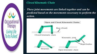 Closed Kinematic Chain
- These joint movements are linked together and can be
predicted based on the movements necessary to perform the
action.
 