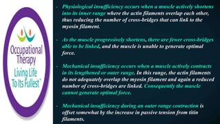 - Physiological insufficiency occurs when a muscle actively shortens
into its inner range where the actin filaments overlap each other,
thus reducing the number of cross-bridges that can link to the
myosin filament.
- As the muscle progressively shortens, there are fewer cross-bridges
able to be linked, and the muscle is unable to generate optimal
force.
- Mechanical insufficiency occurs when a muscle actively contracts
in its lengthened or outer range. In this range, the actin filaments
do not adequately overlap the myosin filament and again a reduced
number of cross-bridges are linked. Consequently the muscle
cannot generate optimal force.
- Mechanical insufficiency during an outer range contraction is
offset somewhat by the increase in passive tension from titin
filaments.
 