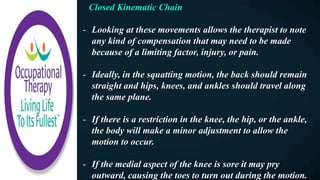 Closed Kinematic Chain
- Looking at these movements allows the therapist to note
any kind of compensation that may need to be made
because of a limiting factor, injury, or pain.
- Ideally, in the squatting motion, the back should remain
straight and hips, knees, and ankles should travel along
the same plane.
- If there is a restriction in the knee, the hip, or the ankle,
the body will make a minor adjustment to allow the
motion to occur.
- If the medial aspect of the knee is sore it may pry
outward, causing the toes to turn out during the motion.
 
