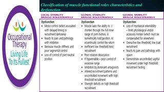 Classification of muscle functional roles characteristics and
dysfunction
 
