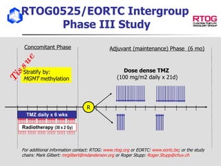 RTOG0525/EORTC Intergroup  Phase III Study TMZ daily x 6 wks R Radiotherapy  (30 x 2 Gy) Concomitant Phase Adjuvant (maintenance) Phase  (6 mo) Dose dense TMZ   (100 mg/m2 daily x 21d) Stratify by: MGMT  methylation Tissue For additional information contact: RTOG:  www.rtog.org  or EORTC:  www.eortc.be ; or the study chairs: Mark Gilbert:  [email_address]  or Roger Stupp:  [email_address]   