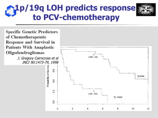 1p/19q LOH predicts response  to PCV-chemotherapy J. Gregory Cairncross et al  JNCI 90:1473-79, 1998 
