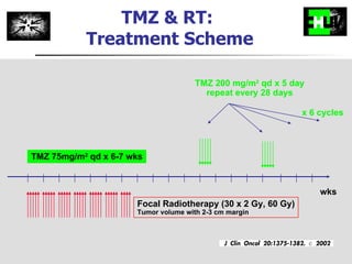 TMZ & RT:  Treatment Scheme TMZ 75mg/m 2  qd x 6-7 wks TMZ 200 mg/m 2  qd x 5 day repeat every 28 days x 6 cycles wks Focal Radiotherapy (30 x 2 Gy, 60 Gy) Tumor volume with 2-3 cm margin 