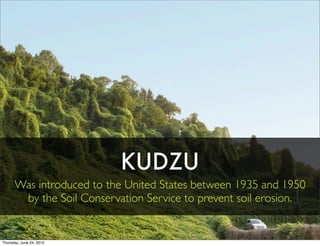 KUDZU
      Was introduced to the United States between 1935 and 1950
       by the Soil Conservation Service to prevent s...