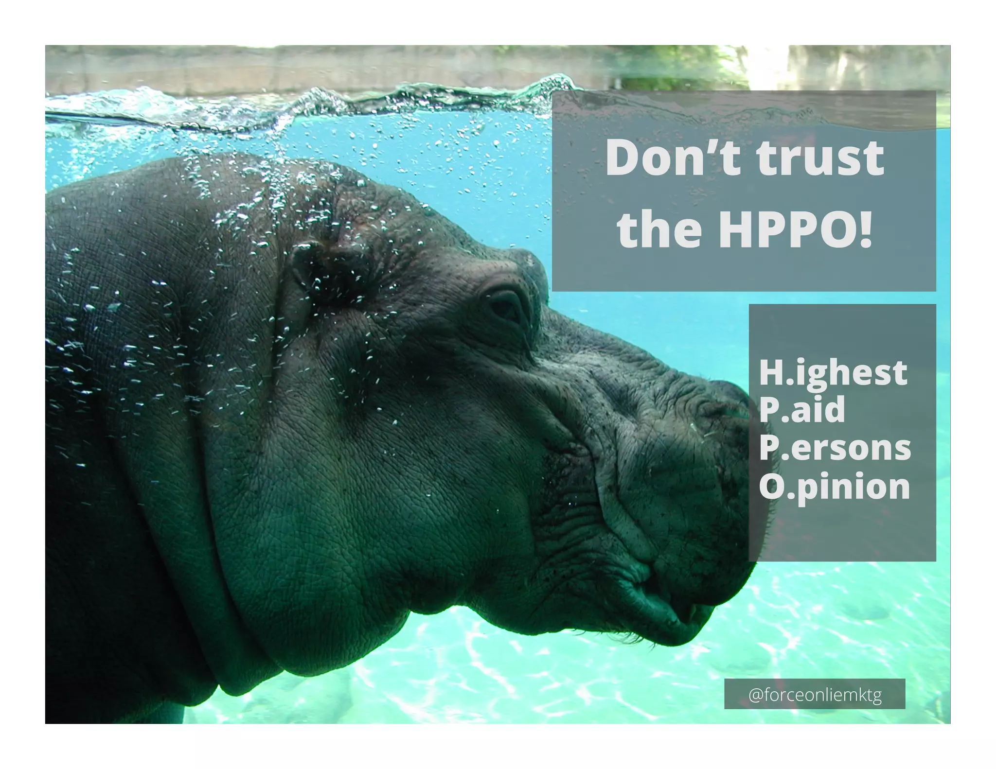 Don’t trust
the HPPO!
H.ighest
P.aid
P.ersons
O.pinion
@forceonliemktg
 
