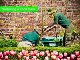 Nurturing a code base
 