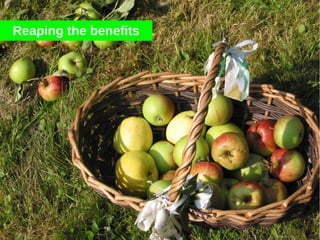 Reaping the benefits
 