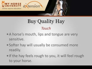 Buy Quality HayTouchA horse’s mouth, lips and tongue are very sensitive.Softer hay will usually be consumed more readily.If the hay feels rough to you, it will feel rough to your horse.