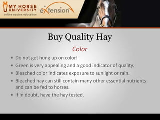 Buy Quality HayColorDo not get hung up on color!Green is very appealing and a good indicator of quality.Bleached color indicates exposure to sunlight or rain.Bleached hay can still contain many other essential nutrients and can be fed to horses.If in doubt, have the hay tested.