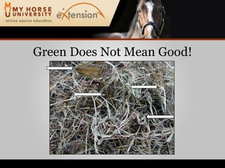 Green Does Not Mean Good!