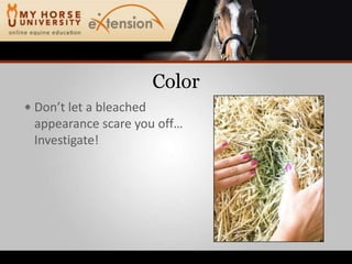 ColorDon’t let a bleachedappearance scare you off…Investigate!