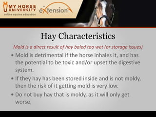 Hay CharacteristicsMold is a direct result of hay baled too wet (or storage issues)Mold is detrimental if the horse inhales it, and has the potential to be toxic and/or upset the digestive system.If they hay has been stored inside and is not moldy, then the risk of it getting mold is very low.Do not buy hay that is moldy, as it will only get worse.