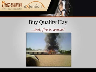 Buy Quality Hay…but, fire is worse!
