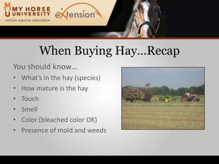 When Buying Hay…RecapYou should know…What’s in the hay (species)How mature is the hayTouchSmellColor (bleached color OK)Presence of mold and weeds