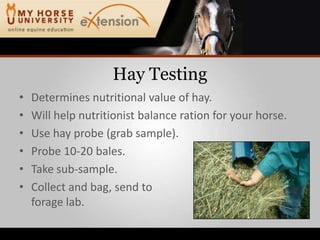 Hay TestingDetermines nutritional value of hay.Will help nutritionist balance ration for your horse.Use hay probe (grab sample).Probe 10-20 bales.Take sub-sample.Collect and bag, send toforage lab.