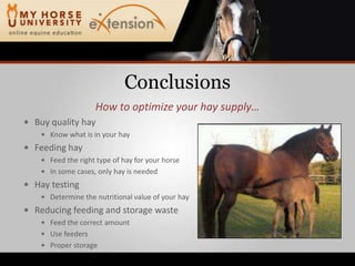 ConclusionsHow to optimize your hay supply…Buy quality hayKnow what is in your hayFeeding hayFeed the right type of hay for your horseIn some cases, only hay is neededHay testingDetermine the nutritional value of your hayReducing feeding and storage wasteFeed the correct amountUse feedersProper storage