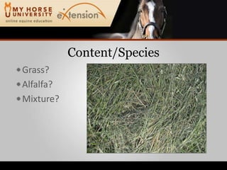 Content/SpeciesGrass?Alfalfa?Mixture?