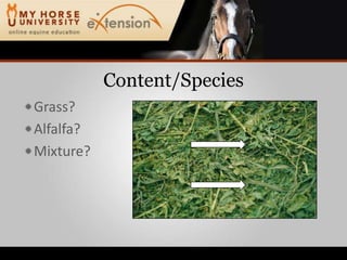 Content/SpeciesGrass?Alfalfa?Mixture?