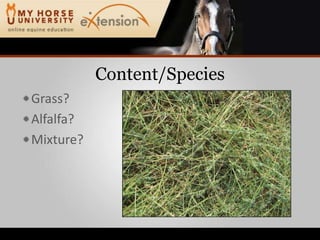 Content/SpeciesGrass?Alfalfa?Mixture?