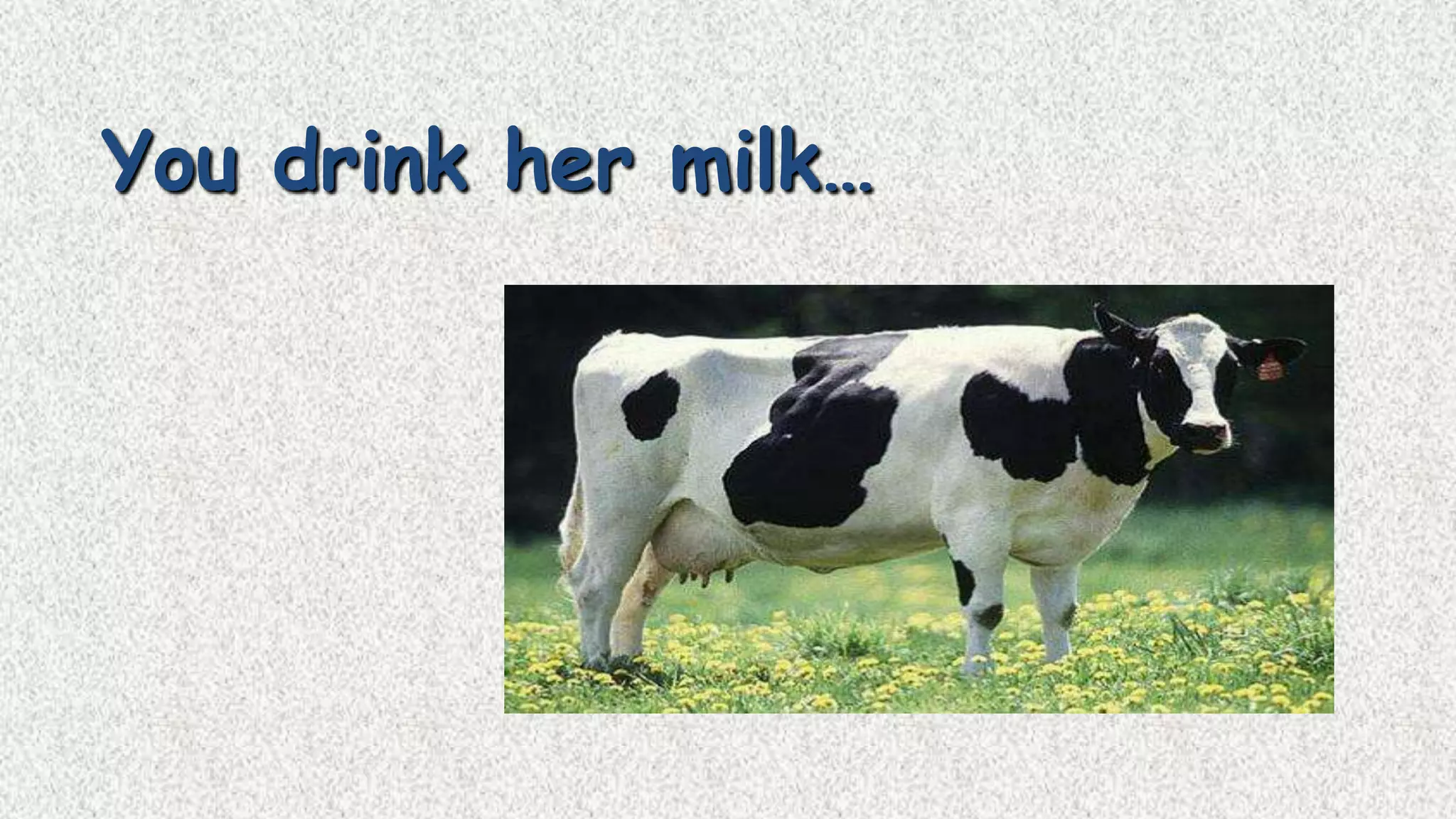 You drink her milk…

 