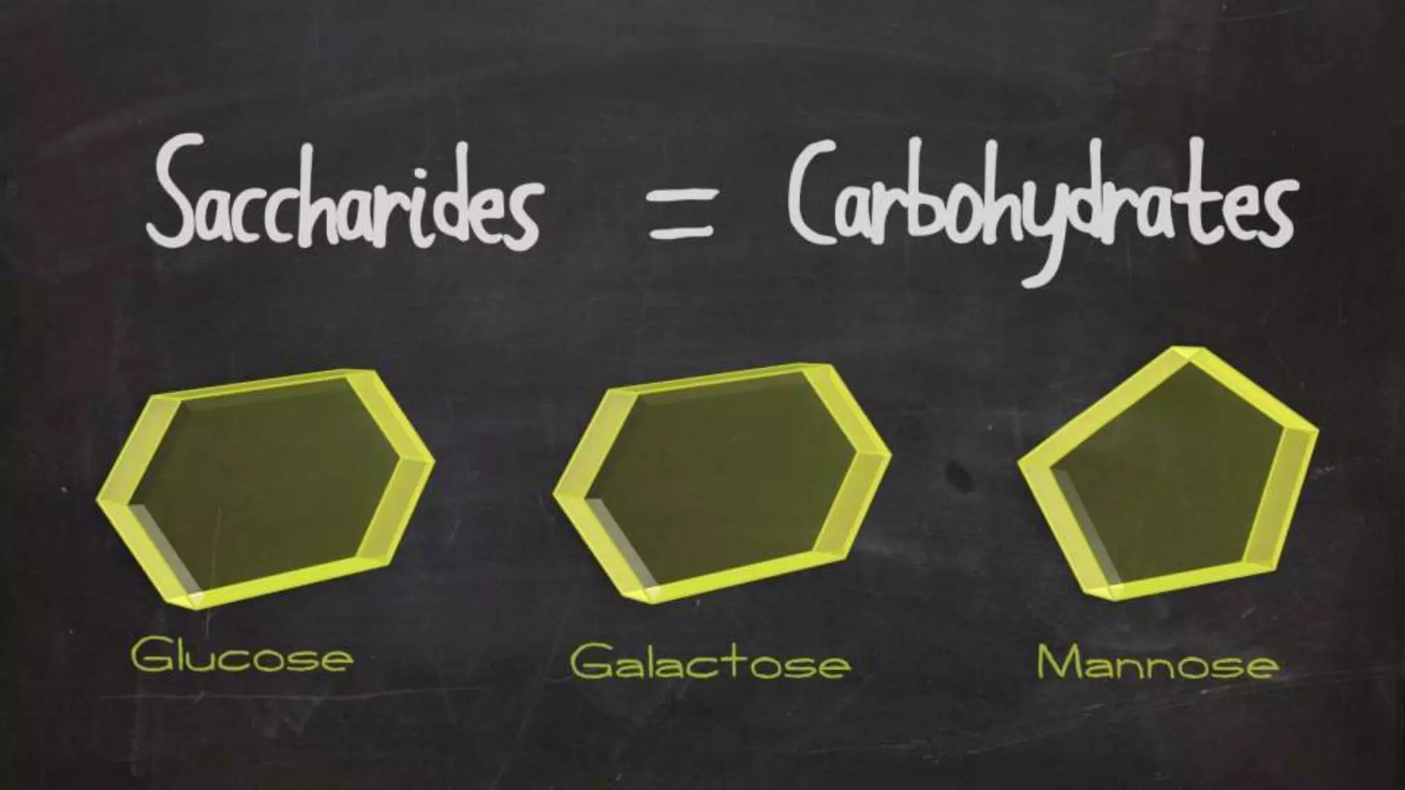 Optimizing Your Health Through Proper Nutrition & Exercise