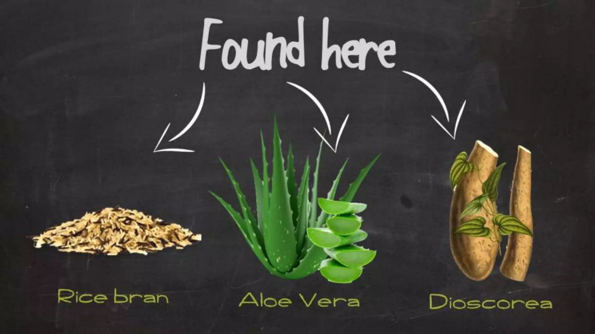 Optimizing Your Health Through Proper Nutrition & Exercise