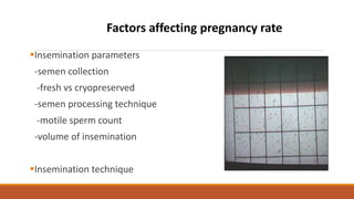 Insemination parameters
-semen collection
-fresh vs cryopreserved
-semen processing technique
-motile sperm count
-volume of insemination
Insemination technique
Factors affecting pregnancy rate
 