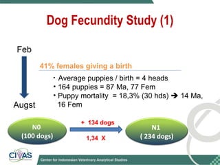 Optimizing rabies control in Bali: An EcoHealth approach