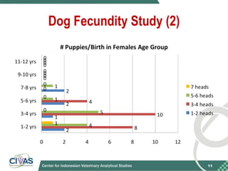 Optimizing rabies control in Bali: An EcoHealth approach