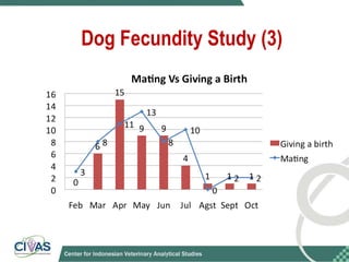 Optimizing rabies control in Bali: An EcoHealth approach