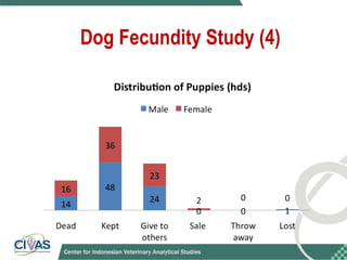 Optimizing rabies control in Bali: An EcoHealth approach