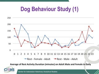 Optimizing rabies control in Bali: An EcoHealth approach