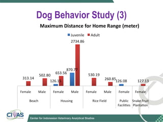 Optimizing rabies control in Bali: An EcoHealth approach