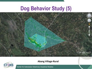 Optimizing rabies control in Bali: An EcoHealth approach