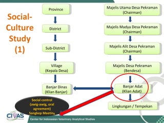 Optimizing rabies control in Bali: An EcoHealth approach