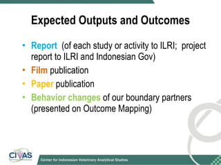 Optimizing rabies control in Bali: An EcoHealth approach