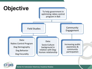 Optimizing rabies control in Bali: An EcoHealth approach